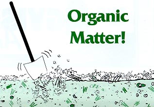 Organic Matter In Soil