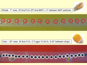 Starter fertilizer demonstration example for starter fertilizer article