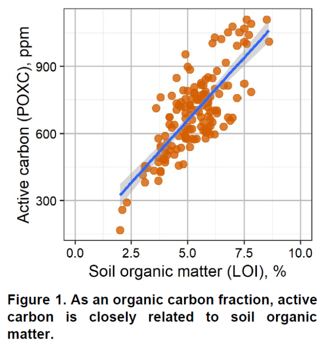 Poxc Active carbon (POXC): What does it measure? - Agvise Laboratories